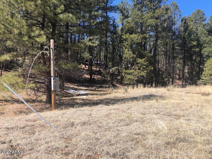 Lot 48 South Cienega Road, Unit 48 Payson, AZ 85541 - Photo 9 of 13 9