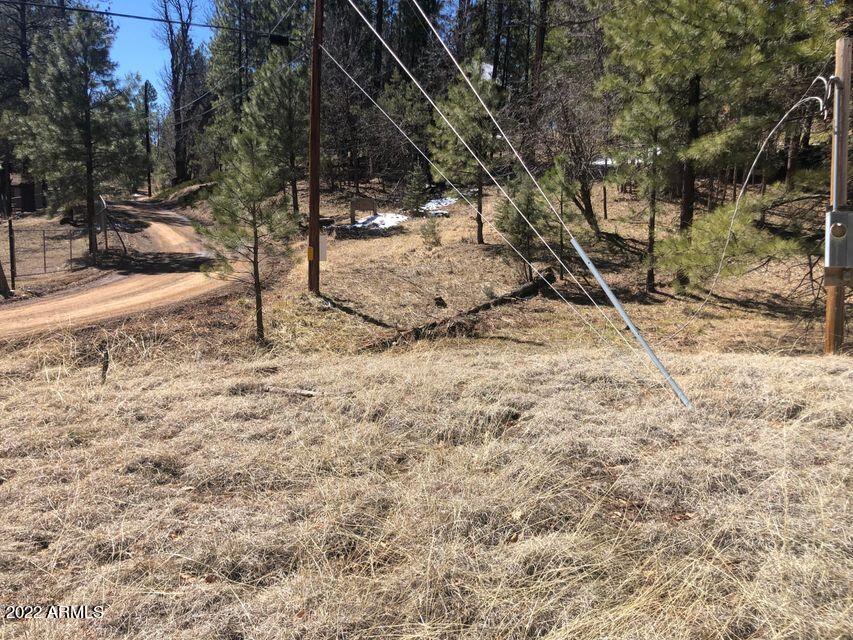 Lot 48 South Cienega Road, Unit 48 Payson, AZ 85541 - Photo 10 of 13 10