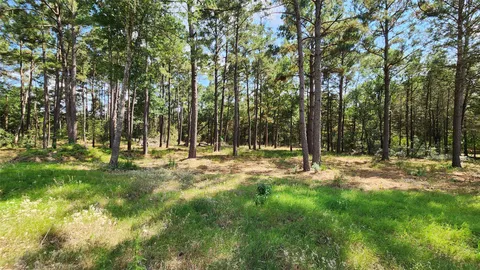 $539,000 | 1286 Oil Patch Road, New Ulm, TX 78950