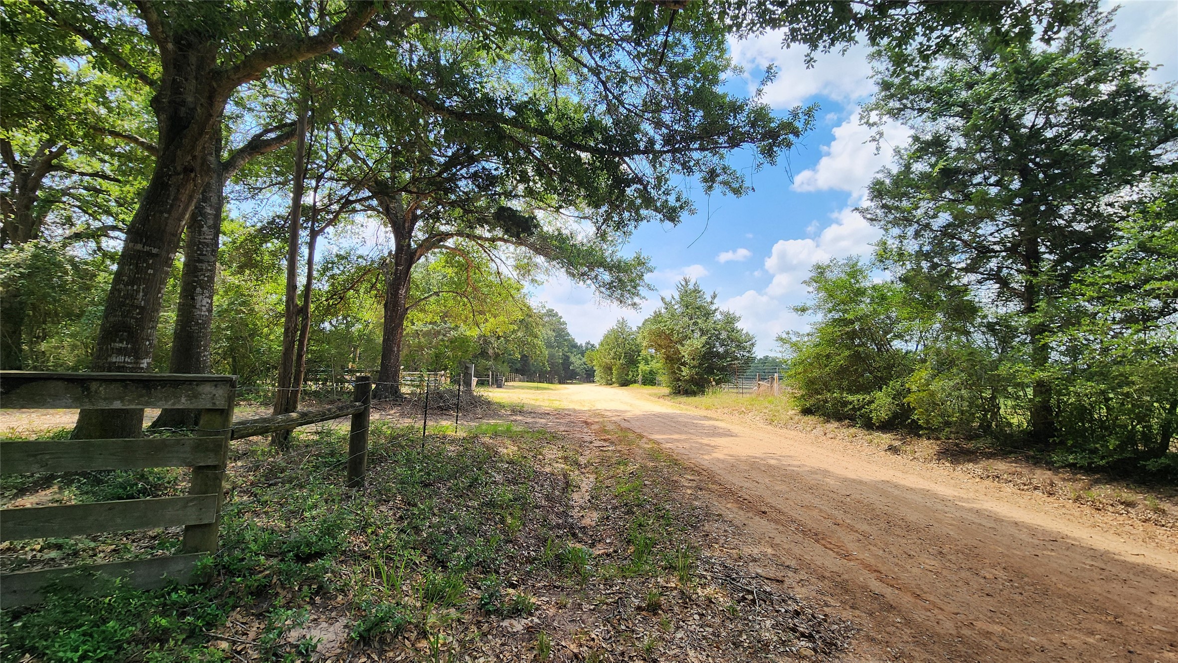 1286 Oil Patch Road New Ulm, TX 78950 - Photo 31 of 32