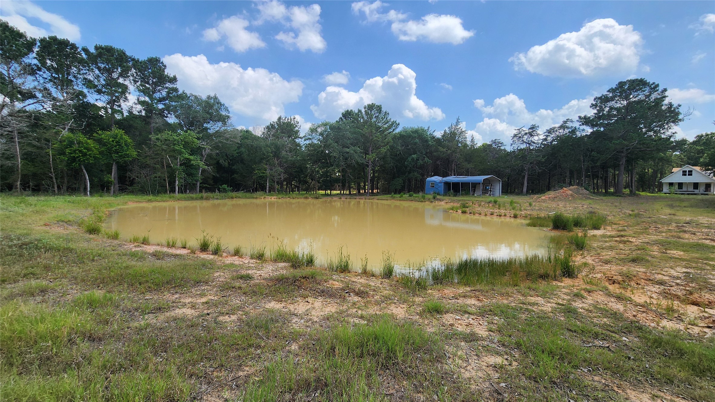 1286 Oil Patch Road New Ulm, TX 78950 - Photo 9 of 32