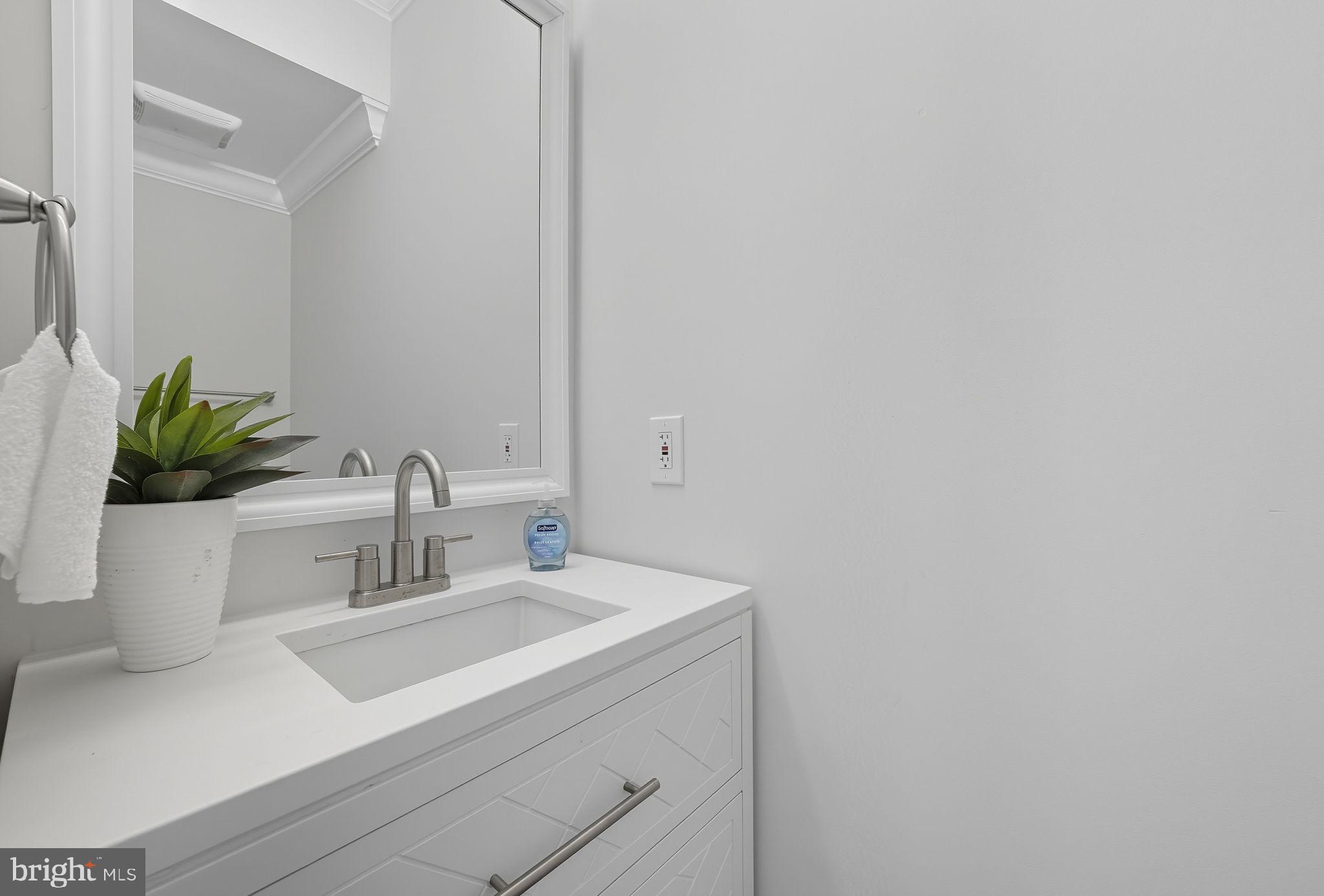 4902 4th Street Northwest Washington, DC 20011 - Photo 7 of 24 a bathroom with a sink and a potted plant