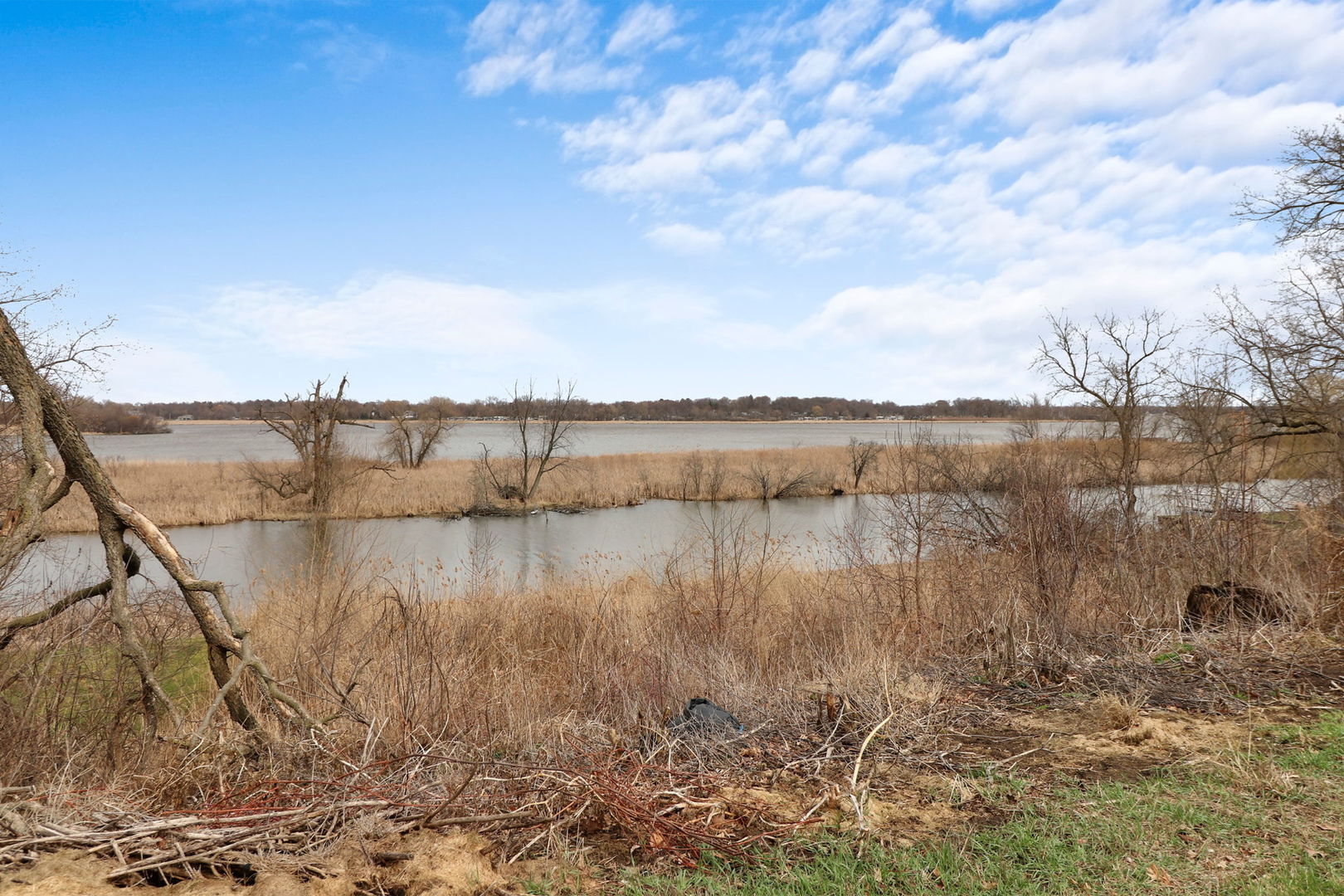 38415 North Primrose Path Spring Grove, IL 60081 - Photo 4 of 15