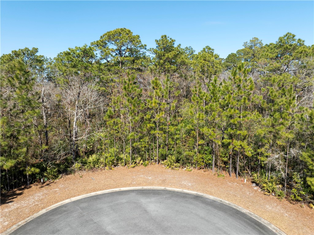 101 Bluebill Trail Brunswick, GA 31523 - Photo 2 of 6