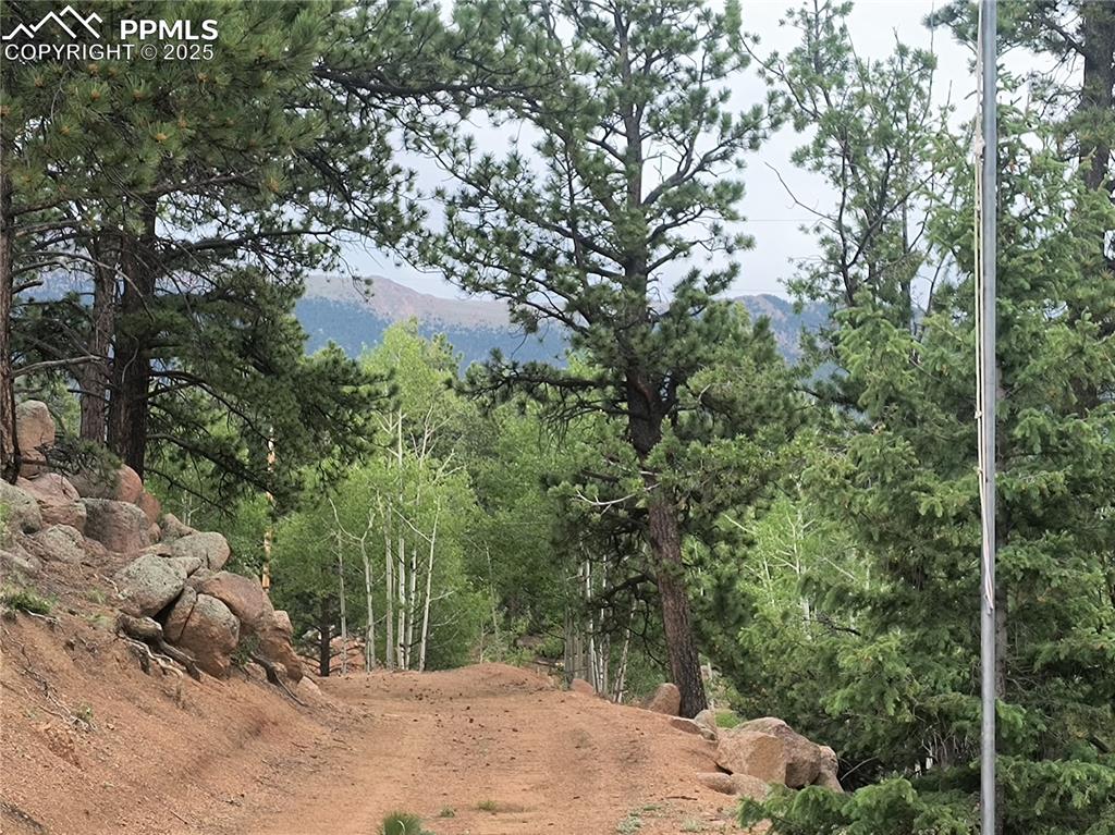 237 Blue Spruce Road Divide, CO 80814 - Photo 11 of 47 a view of a backyard of a house