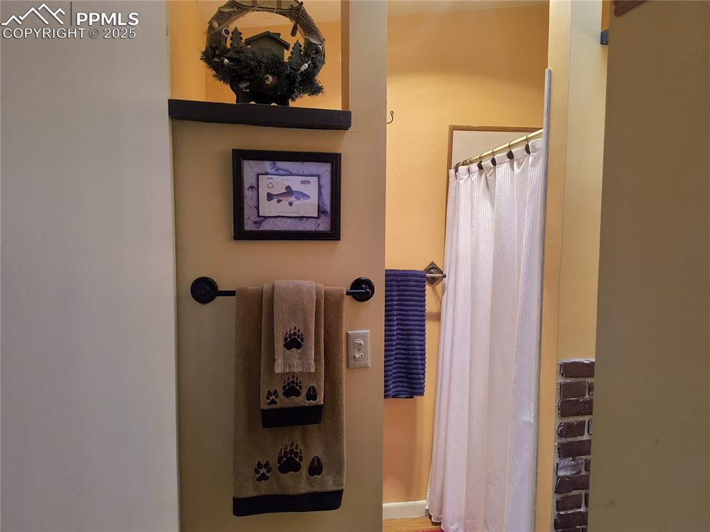 237 Blue Spruce Road Divide, CO 80814 - Photo 27 of 47 a view of a hallway with a door