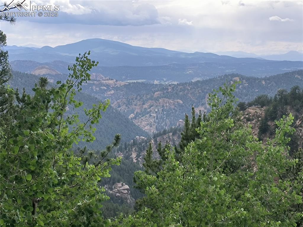237 Blue Spruce Road Divide, CO 80814 - Photo 34 of 47 an aerial view of a house with a yard
