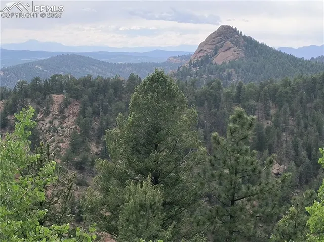a view of a city with lush green forest