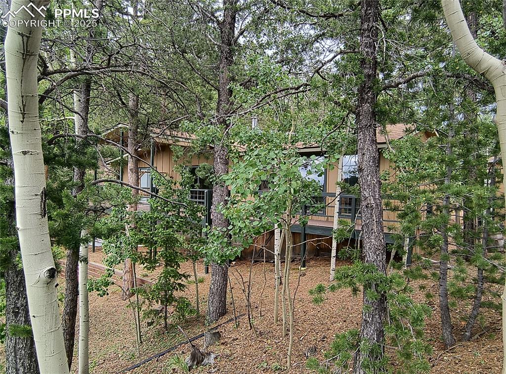 237 Blue Spruce Road Divide, CO 80814 - Photo 40 of 47 a backyard of a house with lots of green space