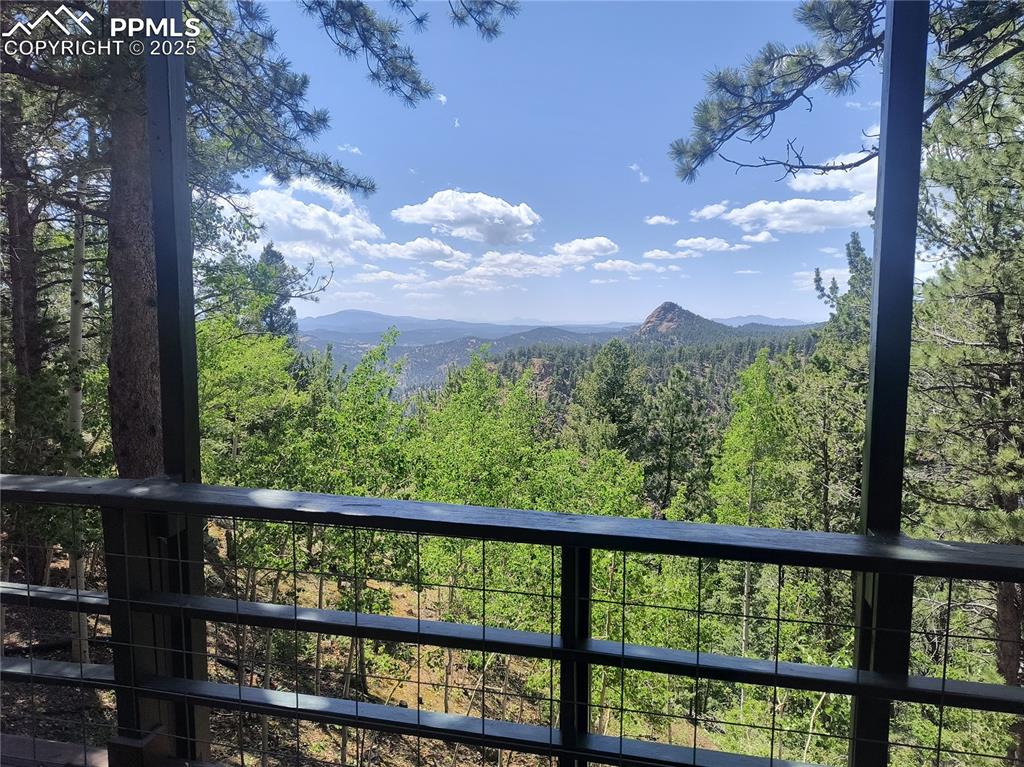 237 Blue Spruce Road Divide, CO 80814 - Photo 4 of 47 a view of a forest from a balcony