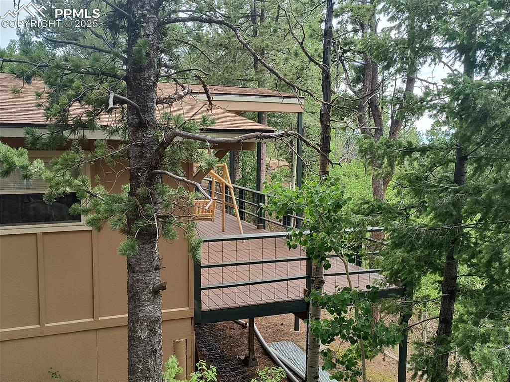 237 Blue Spruce Road Divide, CO 80814 - Photo 42 of 47 a house view with a garden space