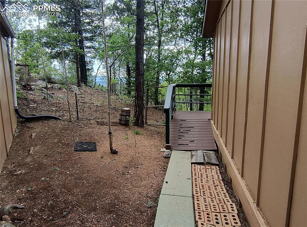 237 Blue Spruce Road Divide, CO 80814 - Photo 45 of 47 a view of a backyard with pathway