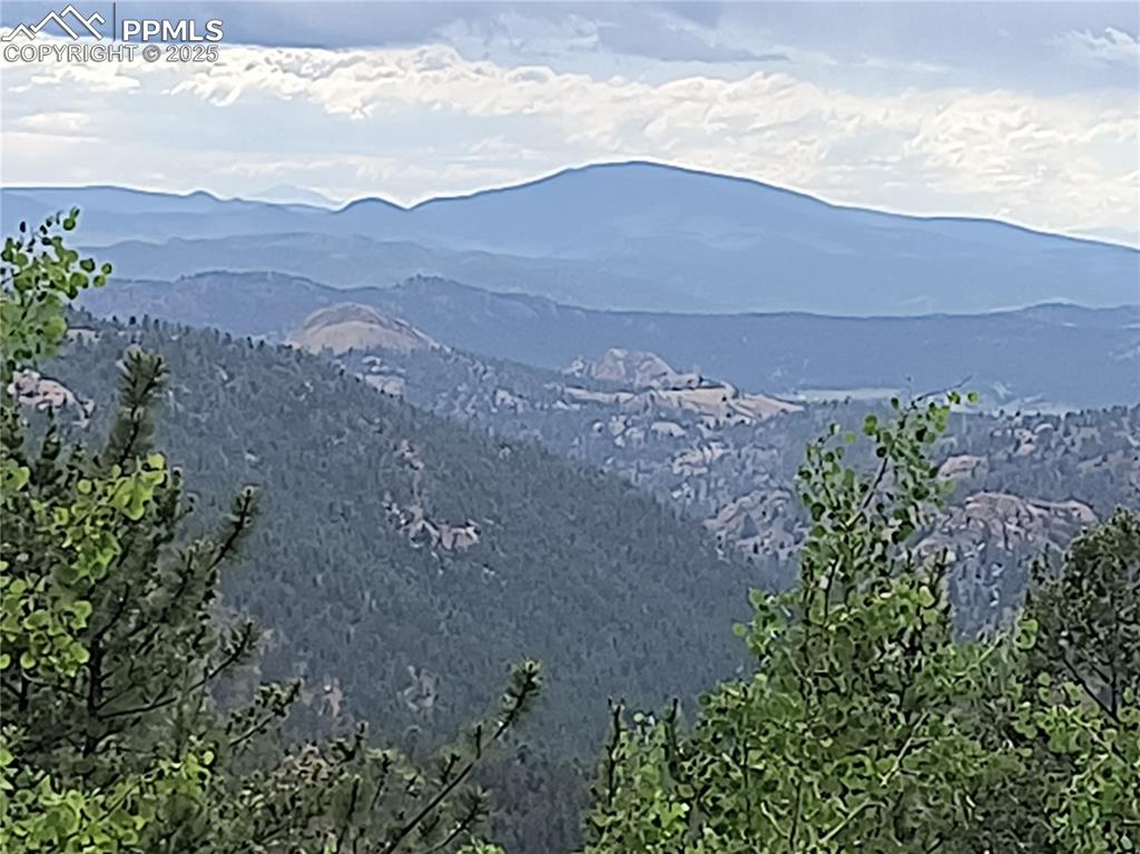 237 Blue Spruce Road Divide, CO 80814 - Photo 46 of 47 a view of a dry yard with wooden fence