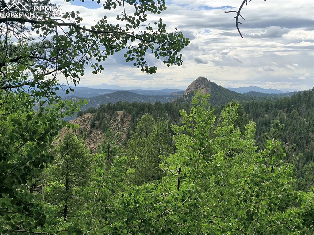 237 Blue Spruce Road Divide, CO 80814 - Photo 47 of 47