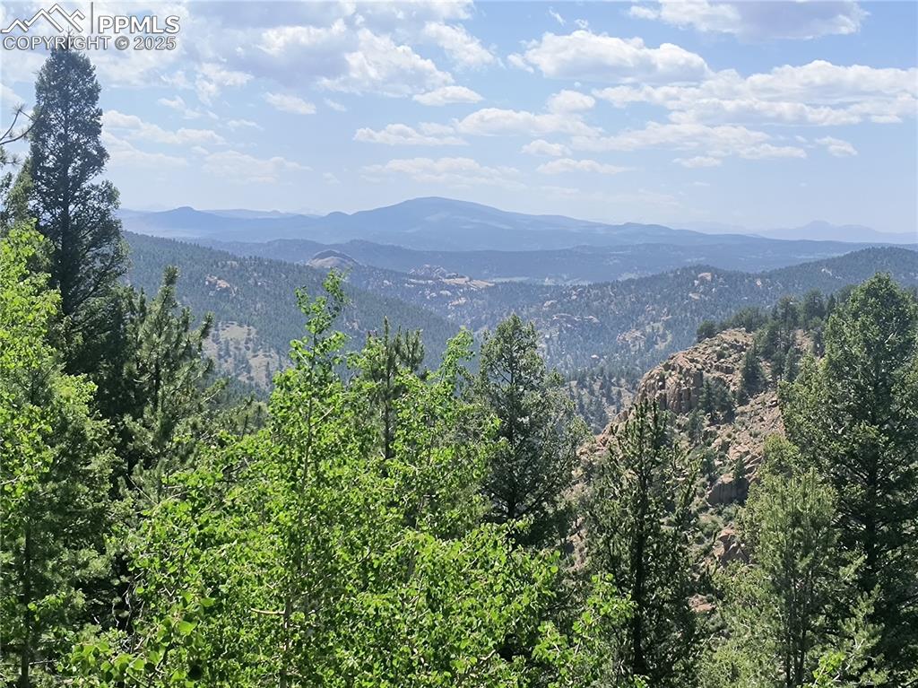 237 Blue Spruce Road Divide, CO 80814 - Photo 8 of 47 an aerial view of houses covered in trees