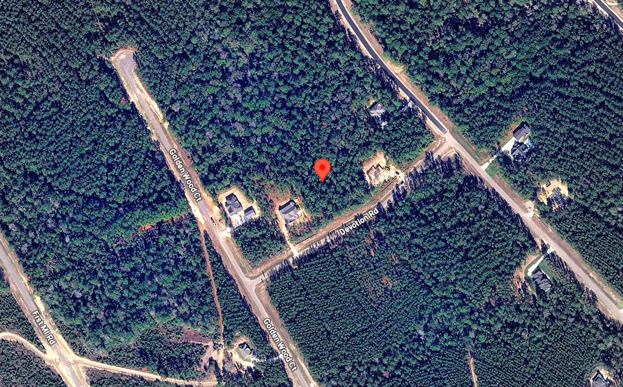 10621 Devotion Road Willis, TX 77378 - Photo 5 of 23