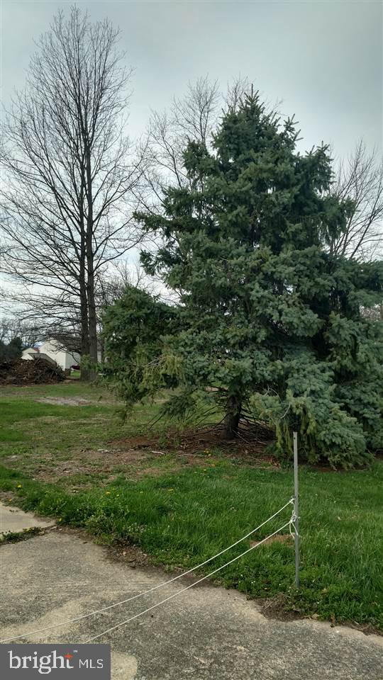 5290 Board Road Mount Wolf, PA 17347 - Photo 6 of 7 Gallery Image 6