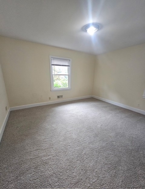305 Augusta Road Clemson, SC 29631 - Photo 23 of 23 A well-lit bedroom features plush carpeting and a bright window overlooking verdant surroundings.