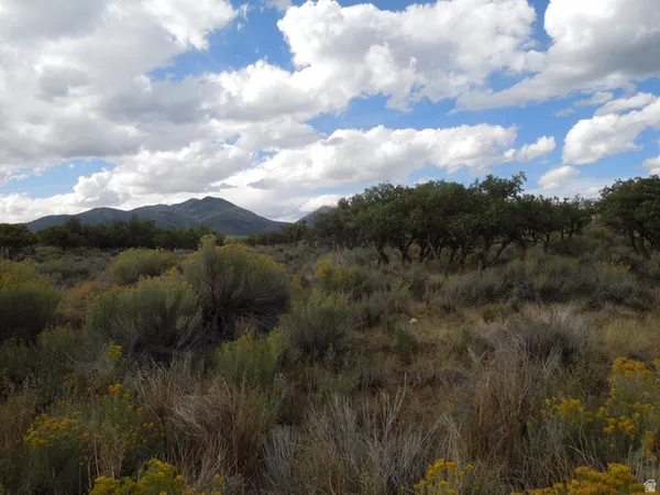 $226,800 | 81 East Spring Draw Drive, Unit 5, La Sal, UT 84530