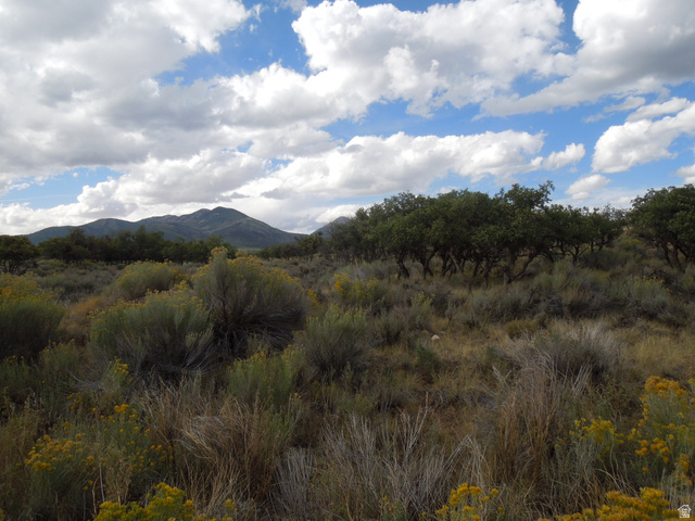 81 East Spring Draw Drive, Unit 5 La Sal, UT 84530 - Photo 1 of 7 Mountain view