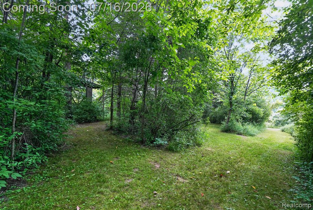 11210 Linden Road Linden, MI 48451 - Photo 44 of 61