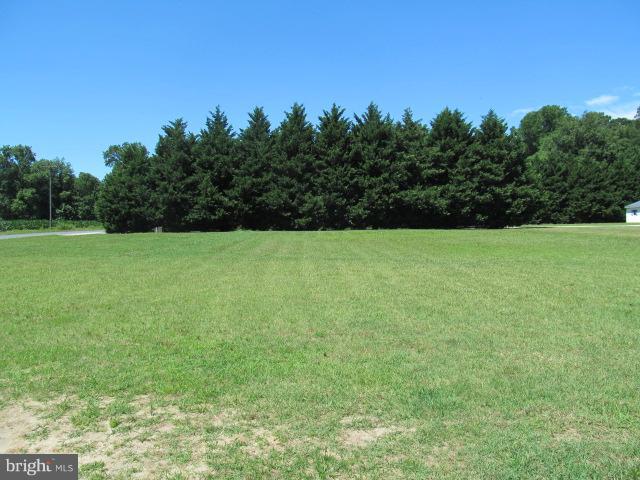 21720 Tanyard Road Preston, MD 21655 - Photo 3 of 22 View