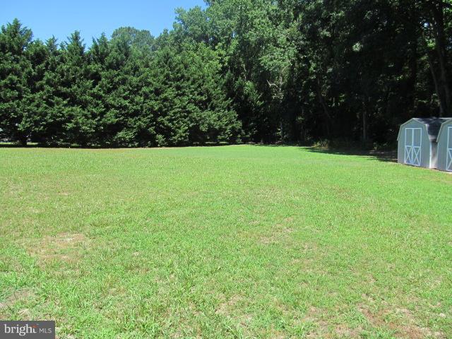 21720 Tanyard Road Preston, MD 21655 - Photo 6 of 22 View