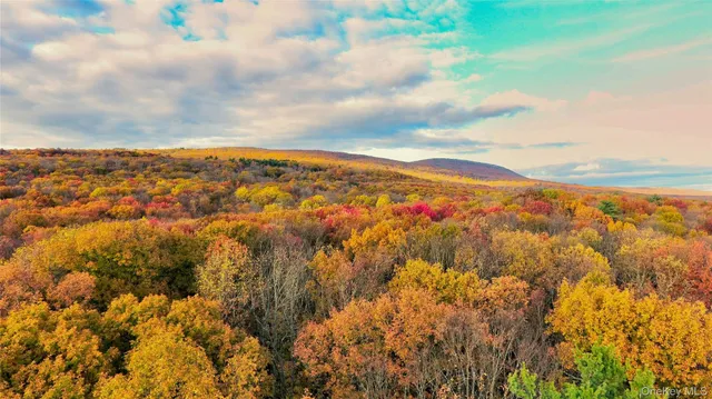 $309,000 | 118 Marl Road, Pine Bush, NY 12566