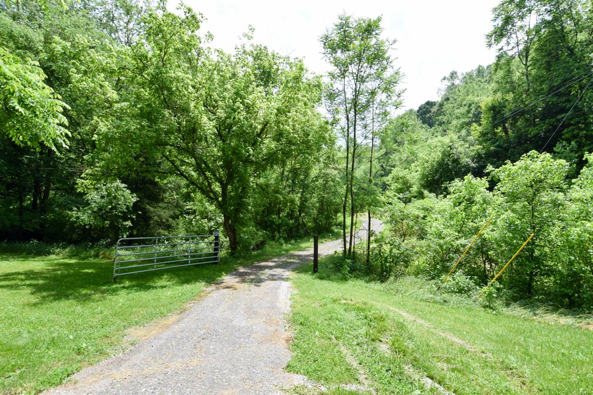 4192 Old Bottom Road Lafayette, TN 37083 - Photo 4 of 50 Gallery Image 4