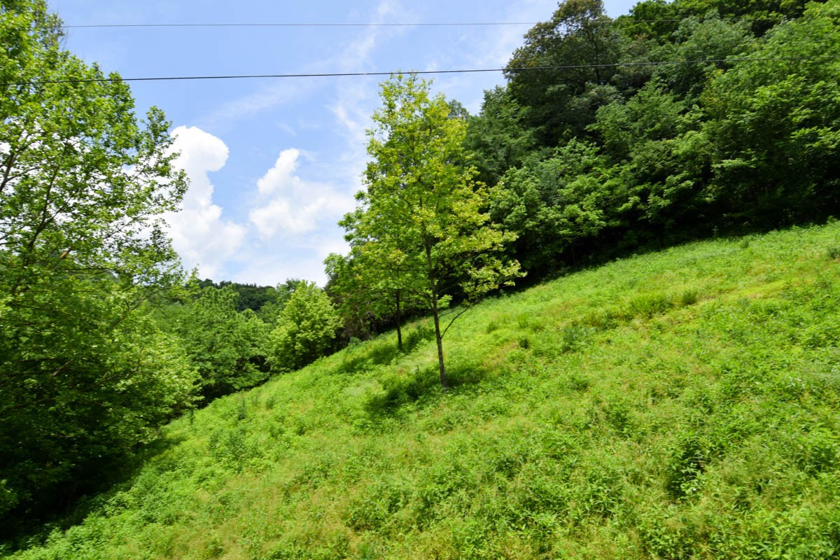 4192 Old Bottom Road Lafayette, TN 37083 - Photo 50 of 50 Gallery Image 50