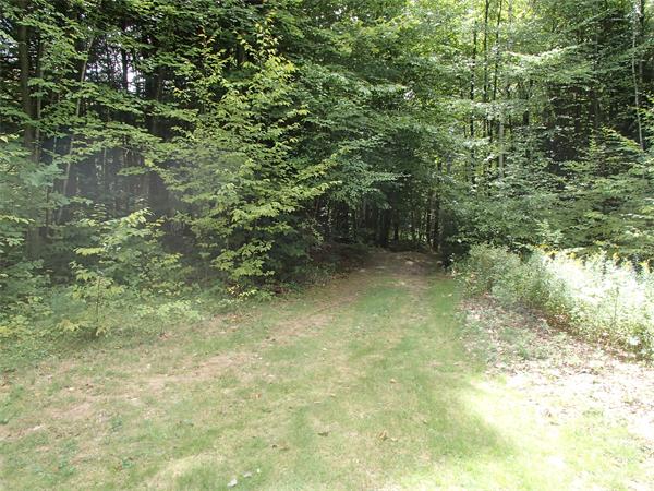 276 S Road Heath, MA 01346 - Photo 1 of 12 Gallery Image 1