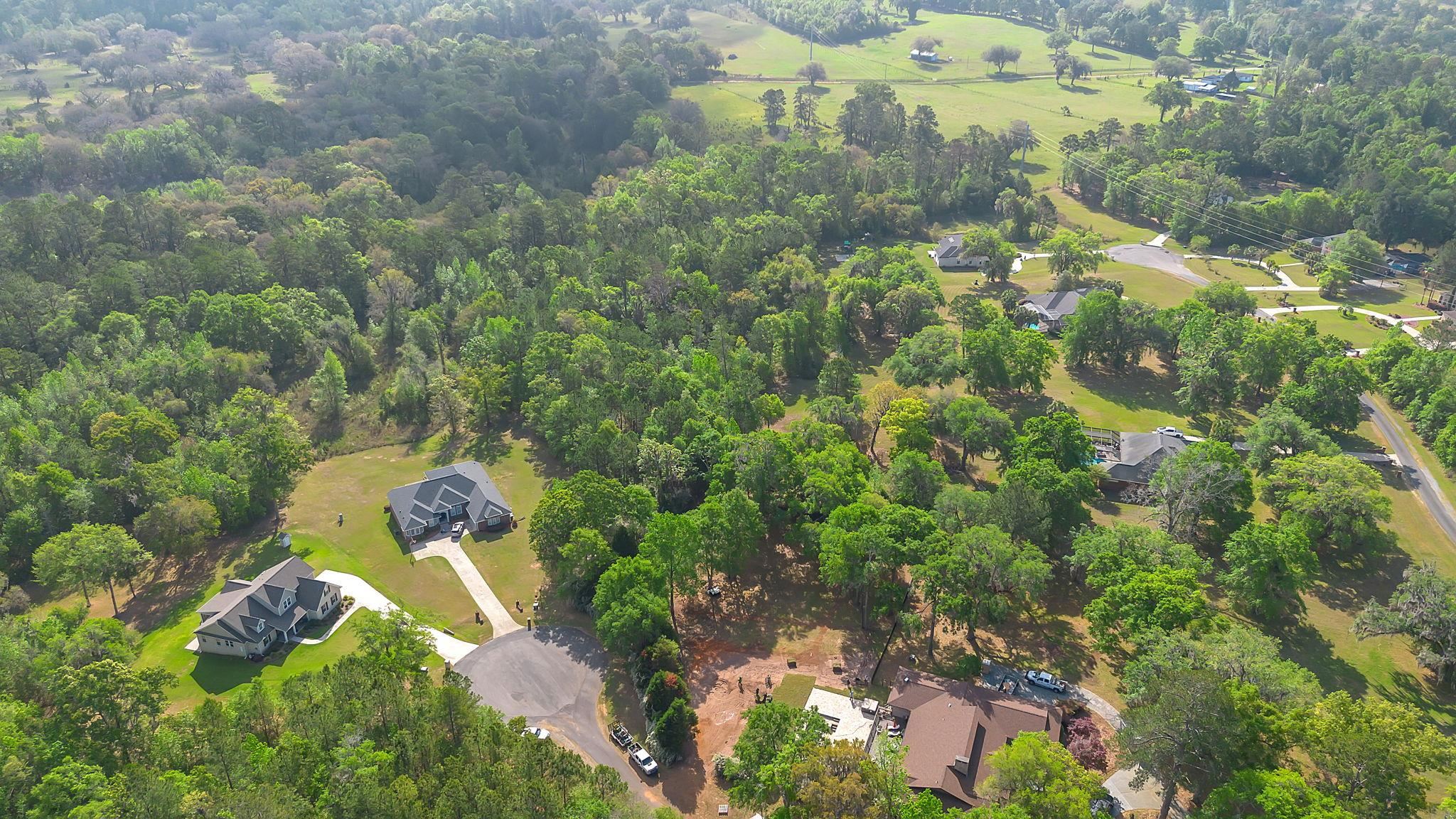 Lot 11 Raspberry Way Tallahassee, FL 32312 - Photo 6 of 10
