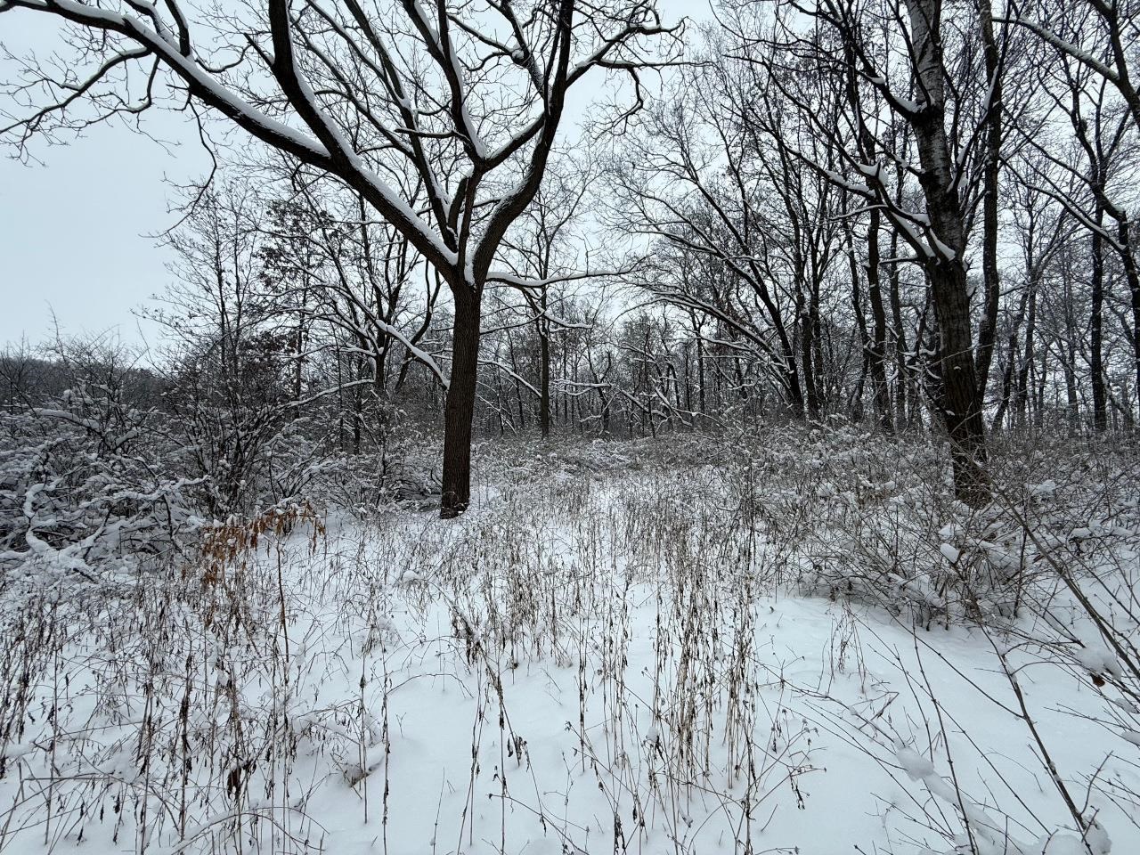 L7 Fawn Meadow Verona, WI 53593 - Photo 4 of 8