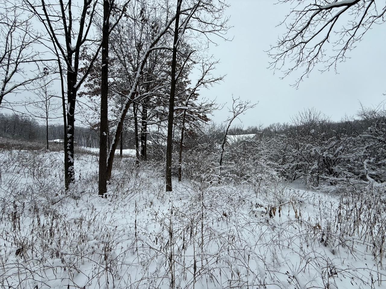 L7 Fawn Meadow Verona, WI 53593 - Photo 6 of 8