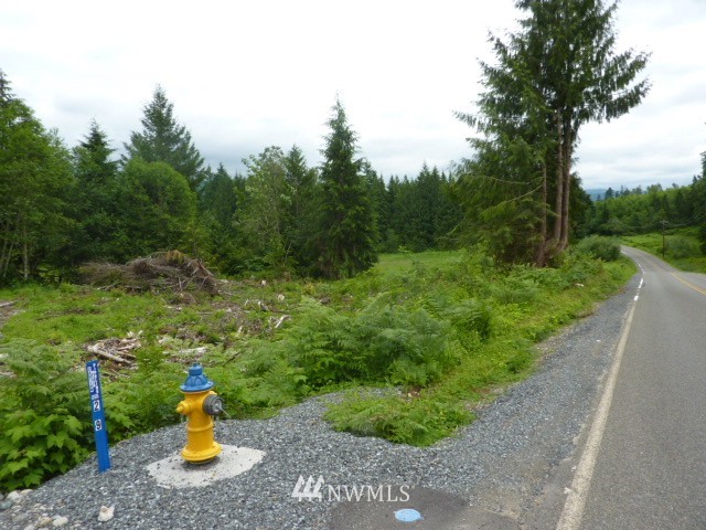 Robe-menzel Robe Menzel Road Granite Falls, WA 98252 - Photo 4 of 6