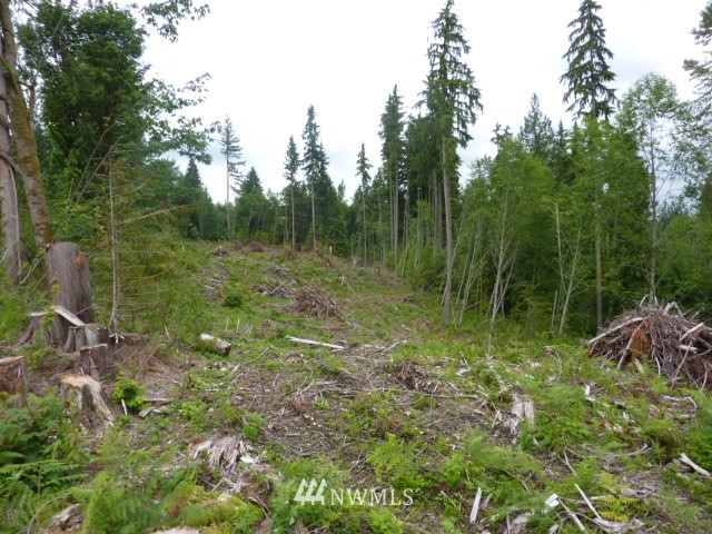 Robe-menzel Robe Menzel Road Granite Falls, WA 98252 - Photo 5 of 6