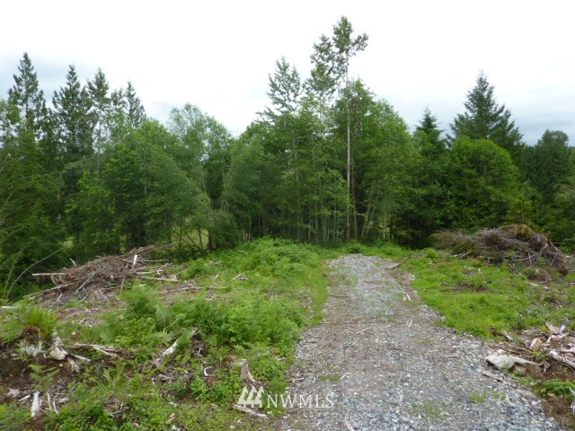 Robe-menzel Robe Menzel Road Granite Falls, WA 98252 - Photo 6 of 6