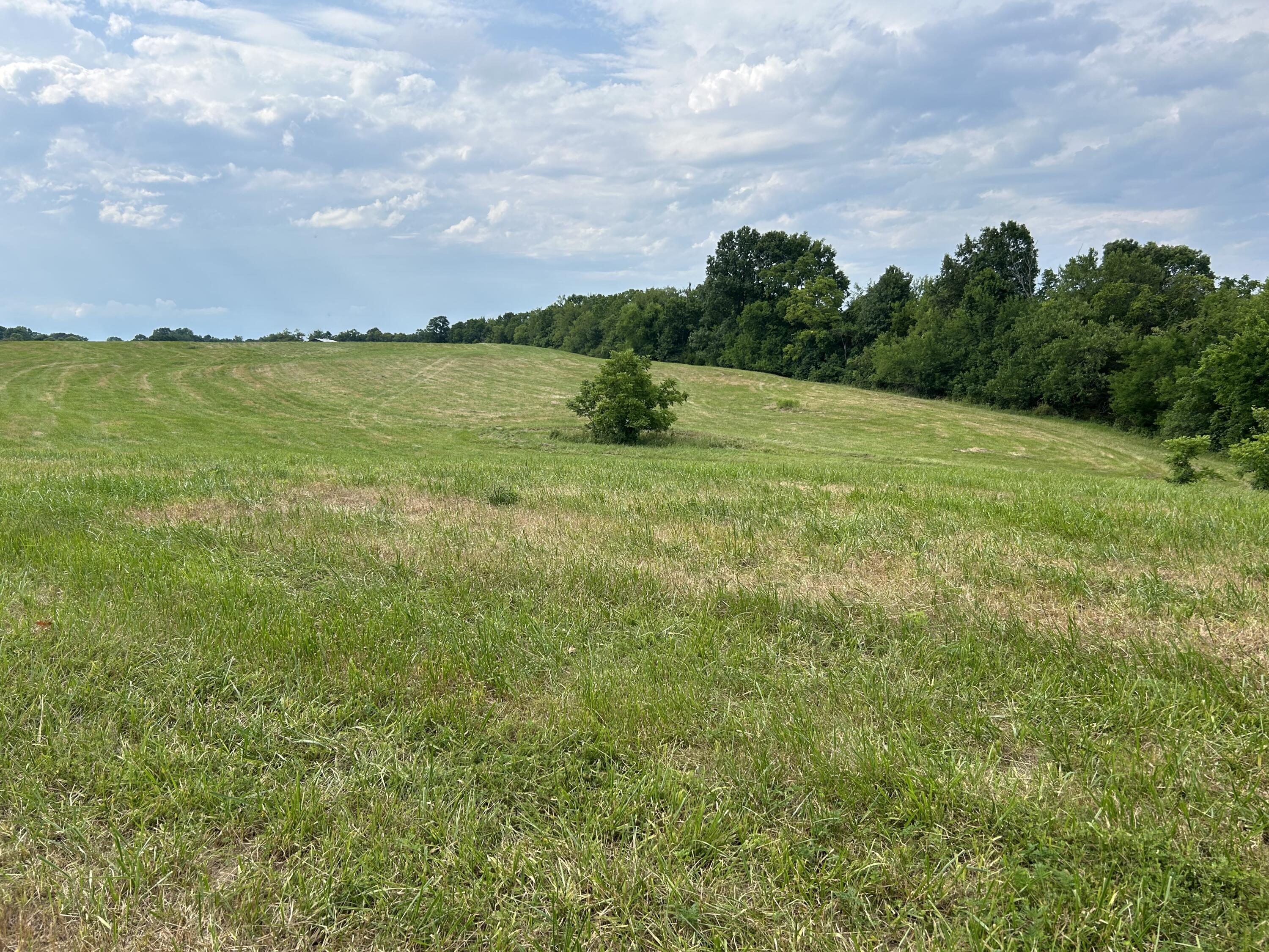 2270 New Liberty-Sparta Road Sparta, KY 41086 - Photo 11 of 23 Gallery Image 11