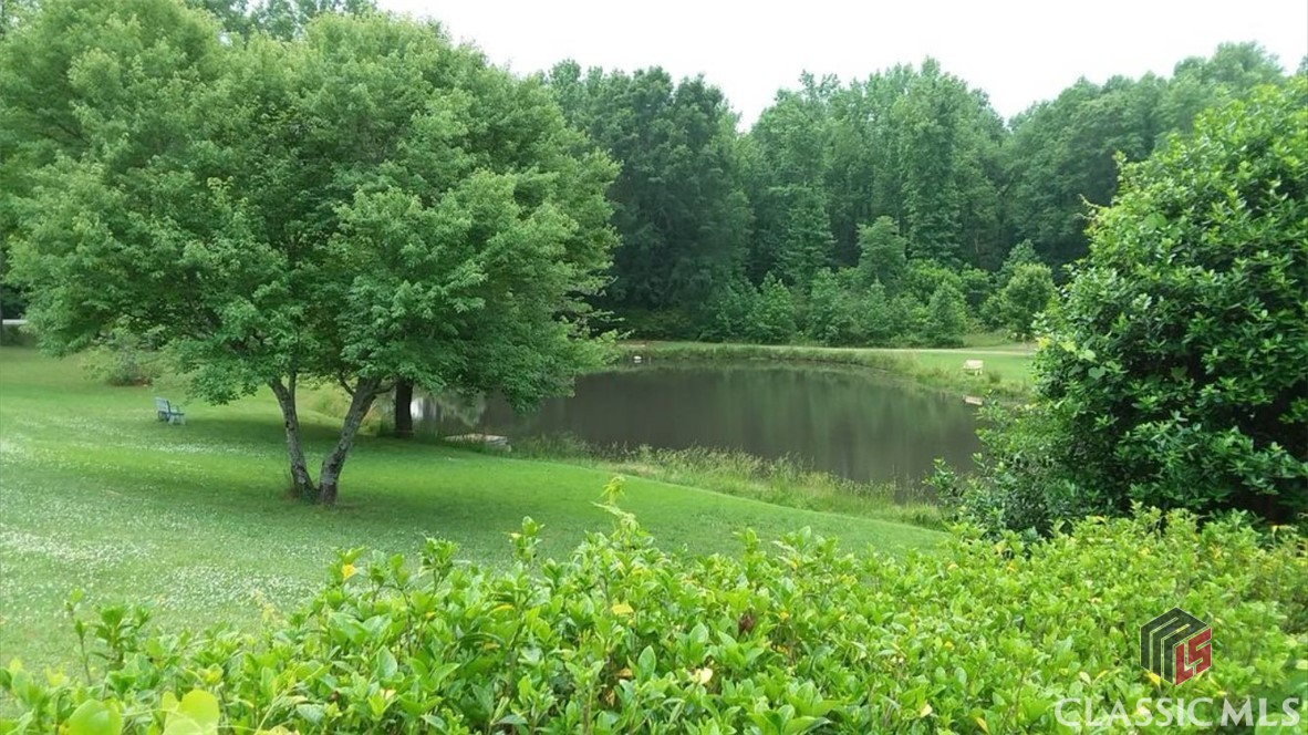 2100 Rays Church Road Bishop, GA 30621 - Photo 41 of 46