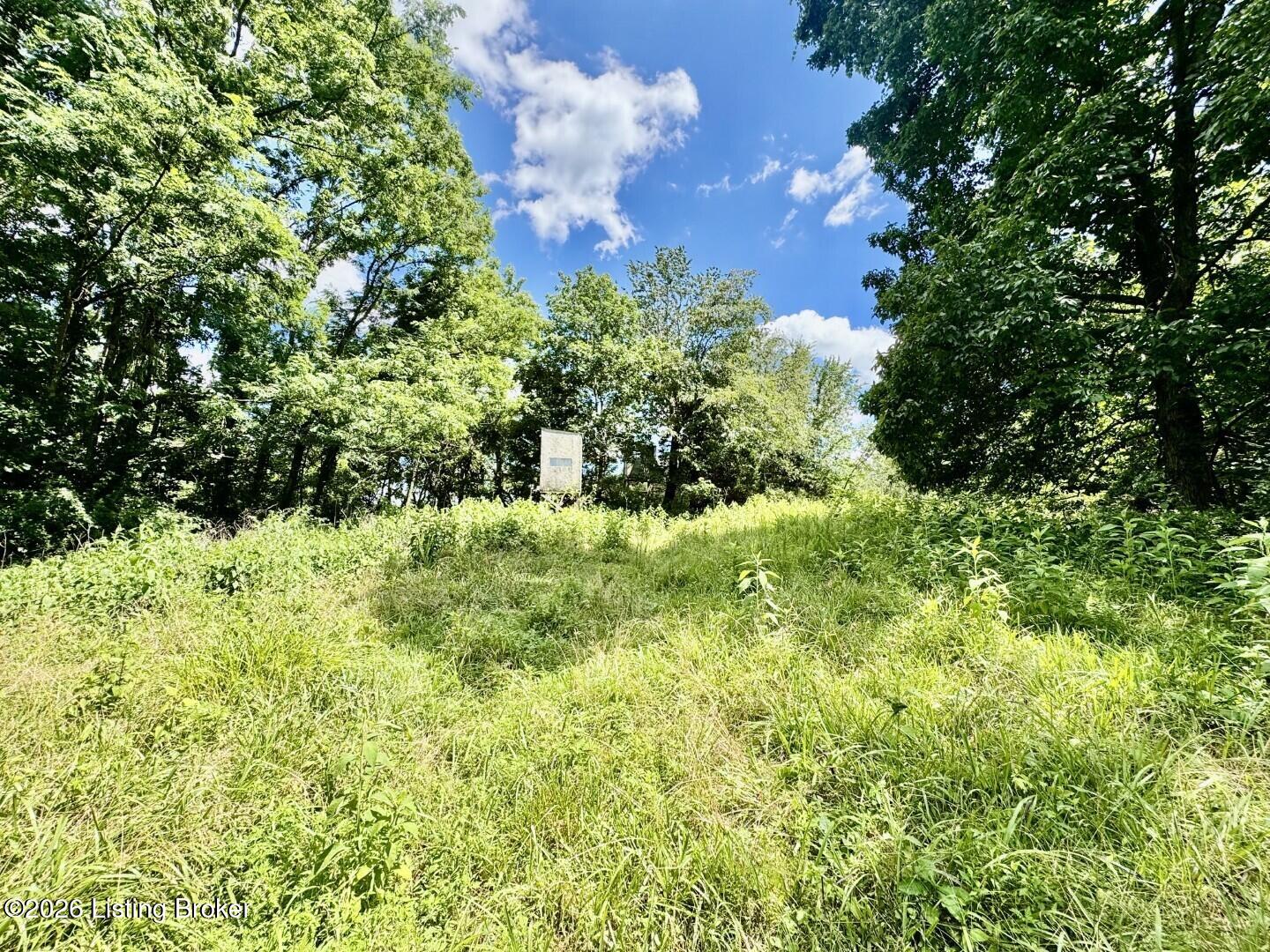 975 Long Run Road Springfield, KY 40069 - Photo 46 of 65 048_Land
