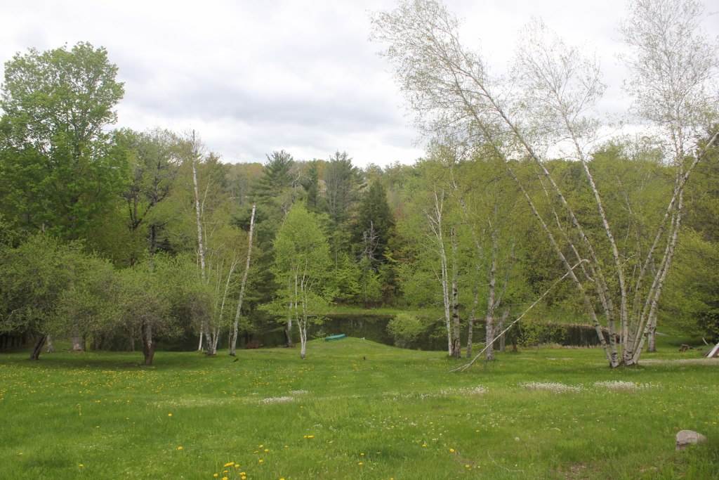 268 Divoll Pasture Road Weathersfield, VT 05156 - Photo 13 of 35
