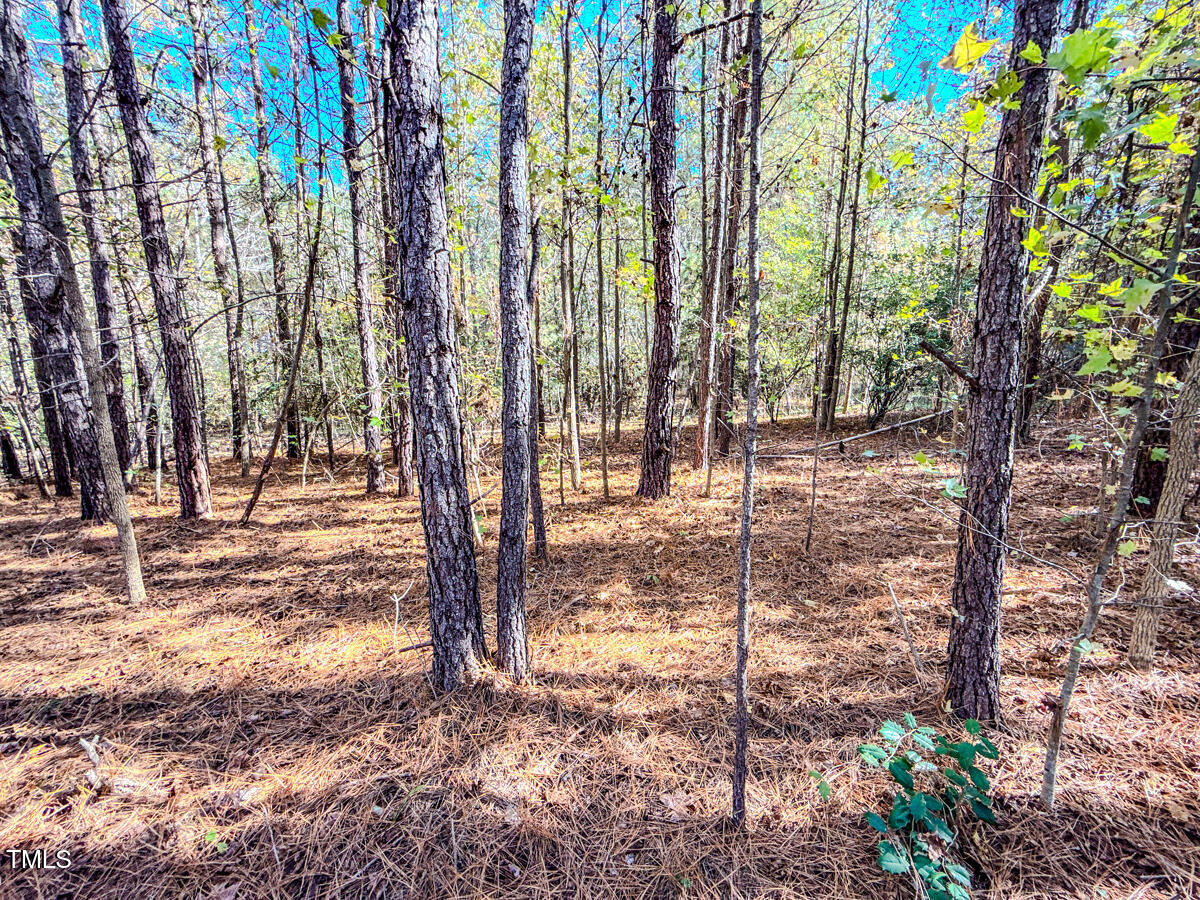 265 Aiken Road Vass, NC 28394 - Photo 38 of 39 7.01 - Beane - Moore Co.37