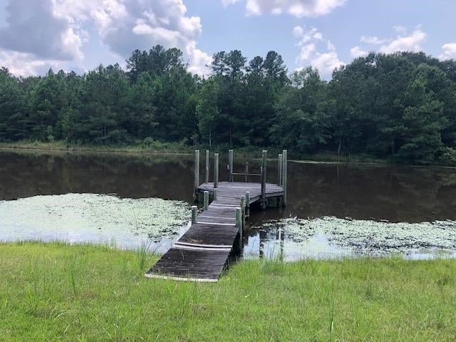 27410 Ealum Mill Road Red Level, AL 36474 - Photo 20 of 50 Gallery Image 20
