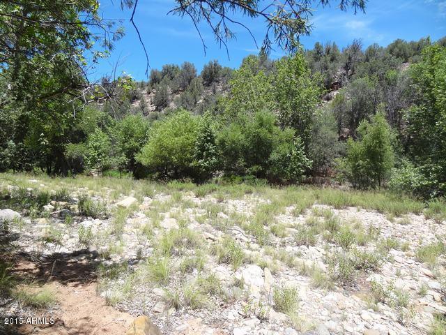 296 East Flowing Springs Road Payson, AZ 85541 - Photo 18 of 22 DSC09082