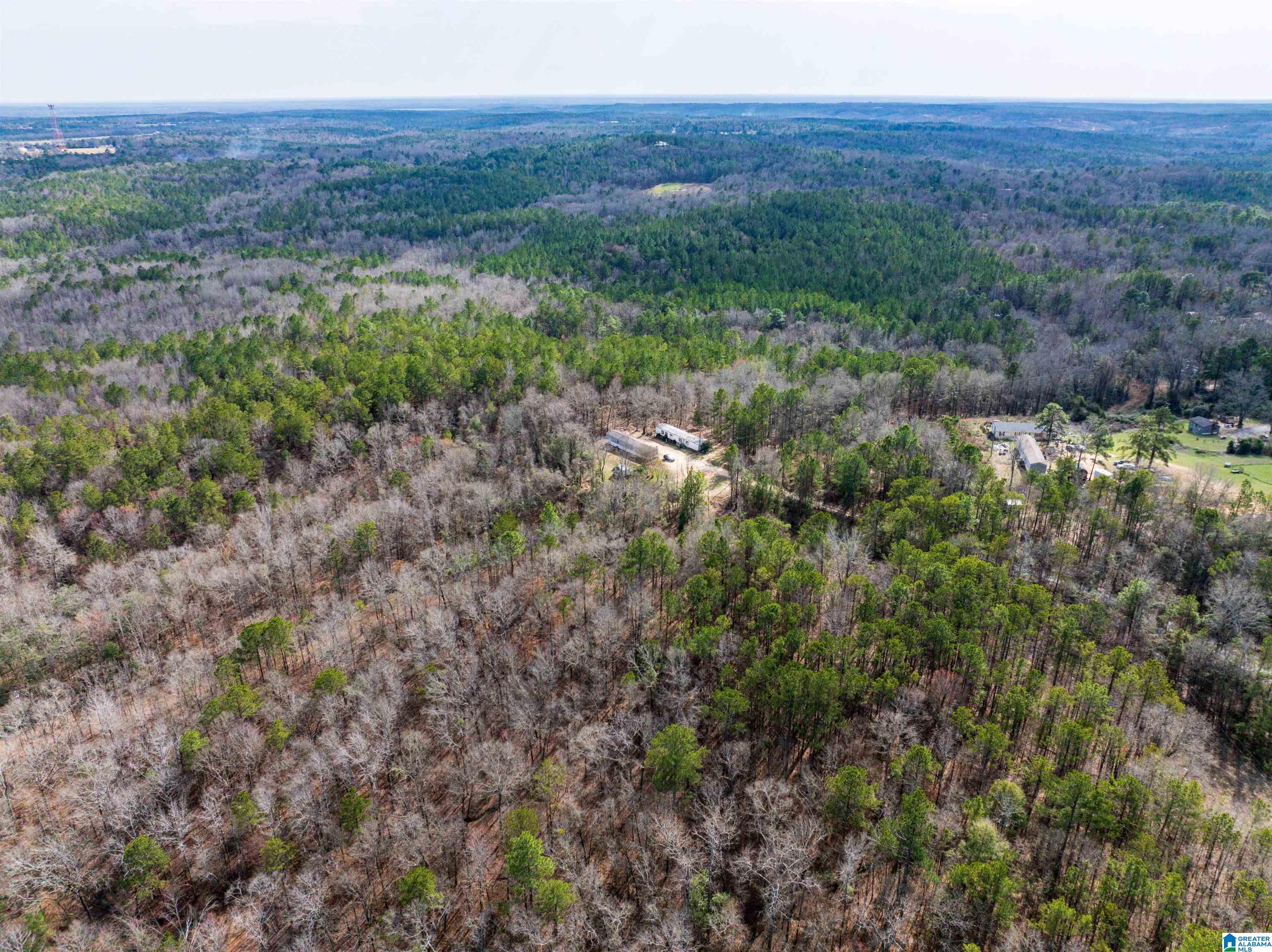 0 Flat Rock Road Tallassee, AL 36078 - Photo 3 of 13