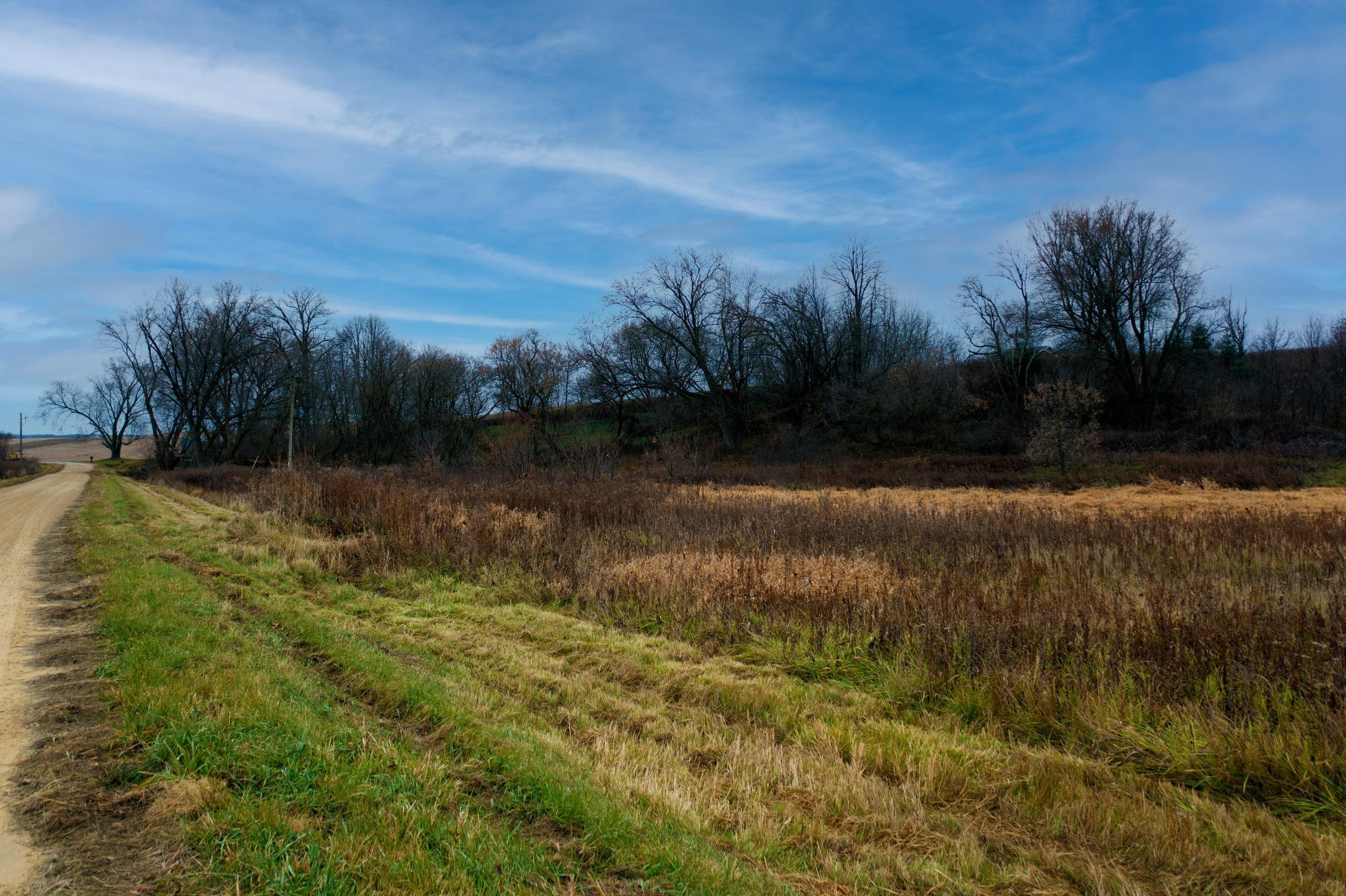 93 South Eleva Wi 54738 Eleva, WI 54738 - Photo 14 of 14