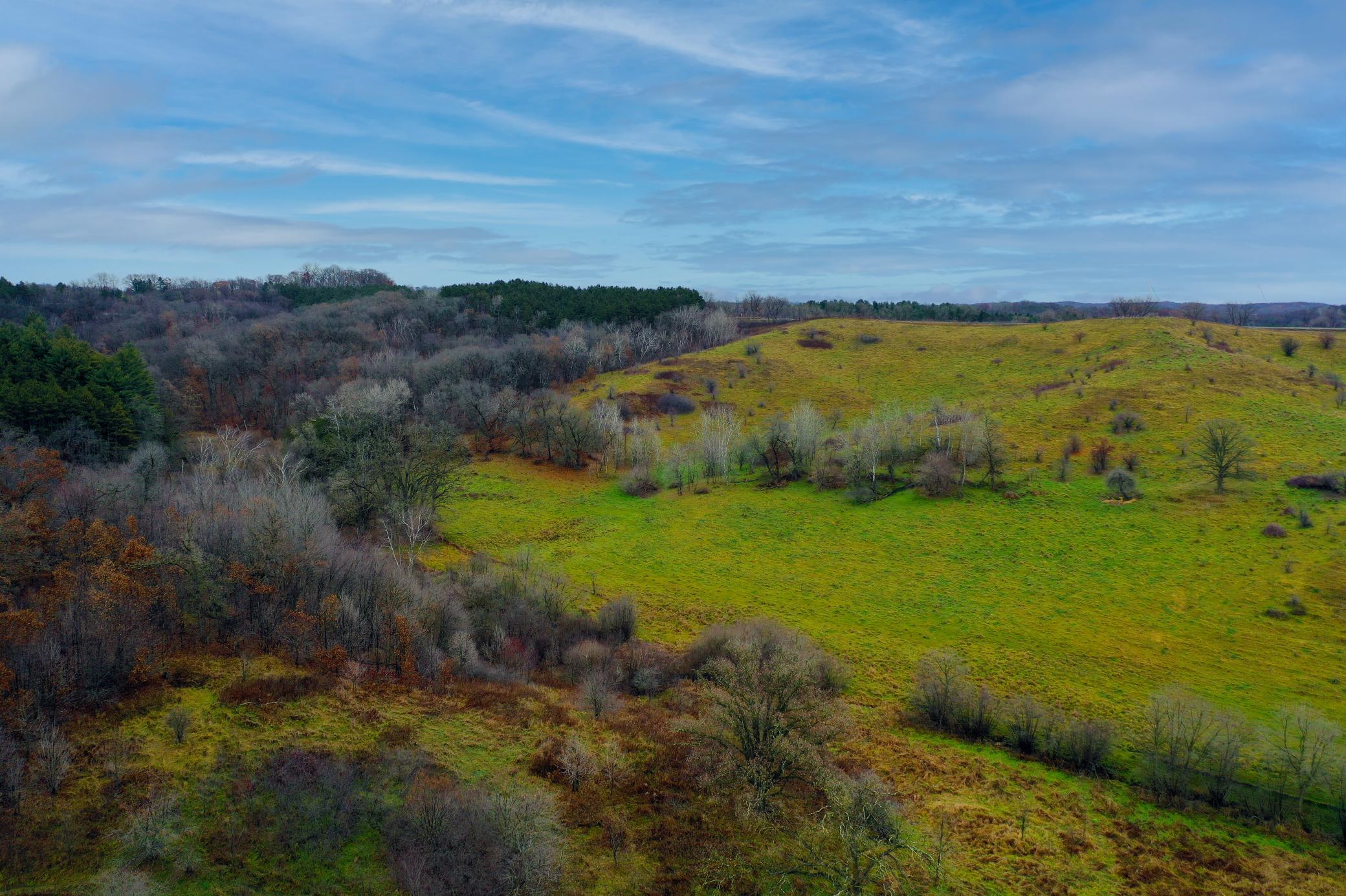 93 South Eleva Wi 54738 Eleva, WI 54738 - Photo 6 of 14