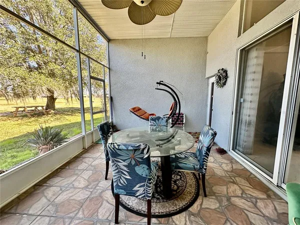 a view of a lake with a palm tree