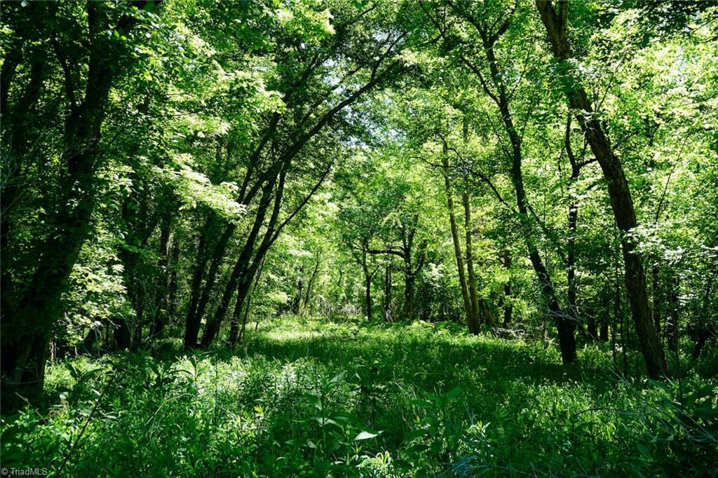 Winston-salem Valley Road Winston-Salem, NC 27106 - Photo 24 of 34