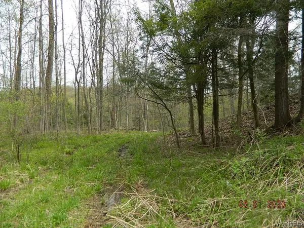 $114,900 | 9999 Olean Road, Holland, NY 14080